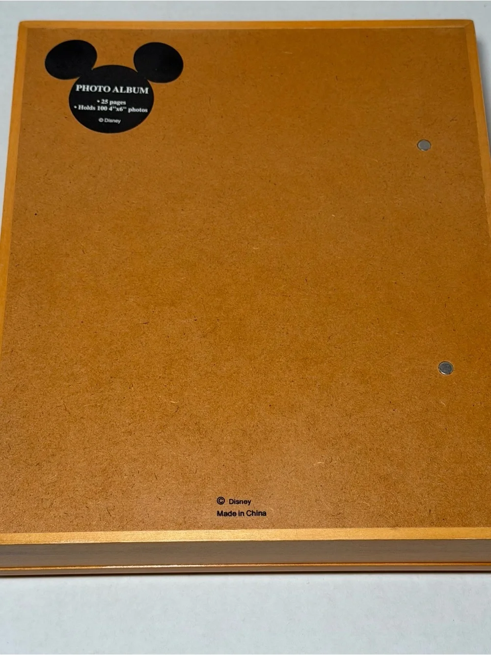 Walt Disney World Memories Wood Album Holds 100 Photos 4x6 Vintage WDW